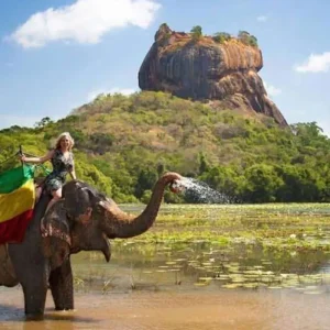 5-Days-Sri-Lanka-Tour-Package-Elephant-Safari-Sigiriya