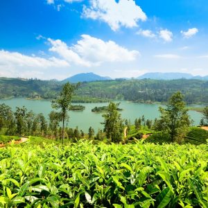 ca2d29f3-city-5201-166598d82dd